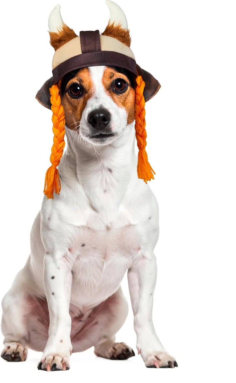 Rubies Viking Pet Hat for Dogs or Cats, M/L - Image 1